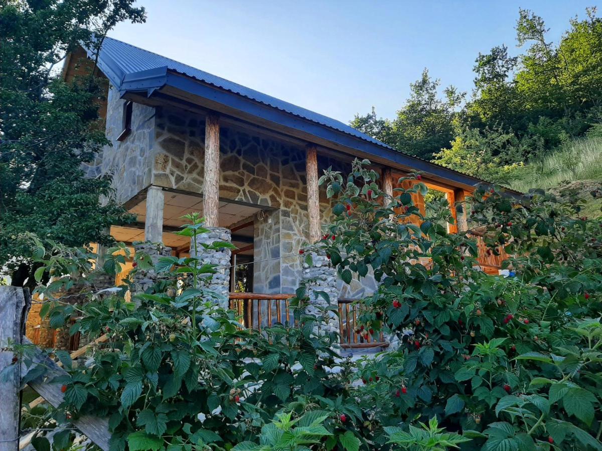Fern Farm Eco Studio Apartment Mojkovac Bagian luar foto