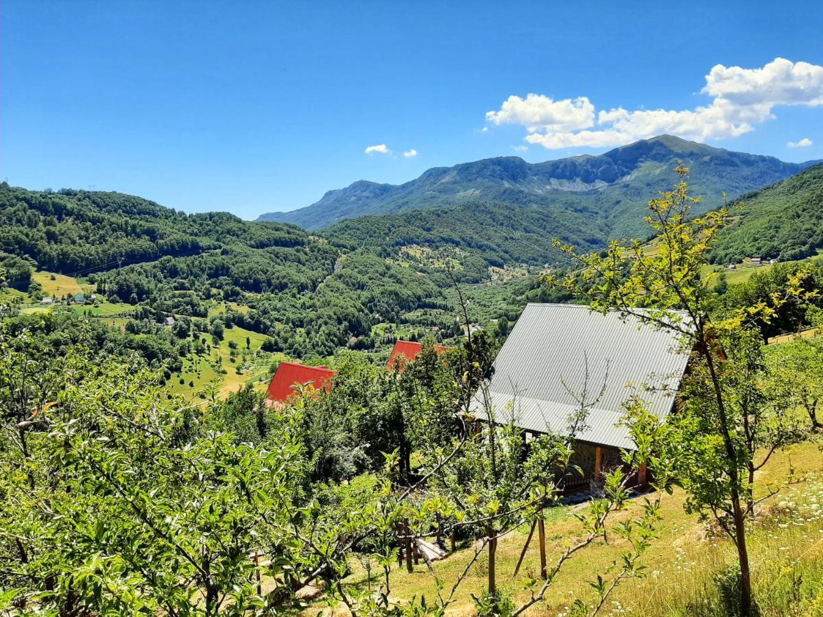 Fern Farm Eco Studio Apartment Mojkovac Bagian luar foto